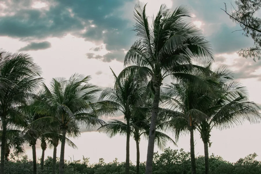Fort Lauderdale weather radar