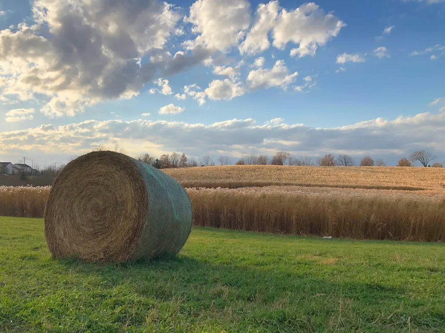 Iowa City weather radar
